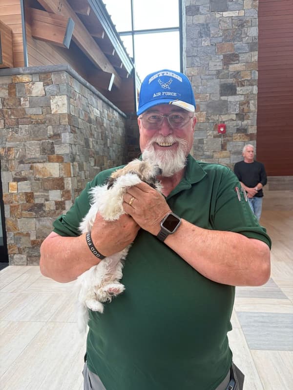 Customer photo of Shih Tzu puppy from Stephen W.