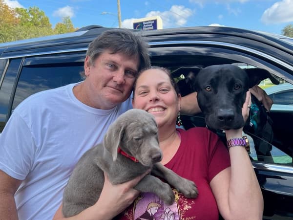 Customer photo of Labrador Retriever puppy from Dawn W.
