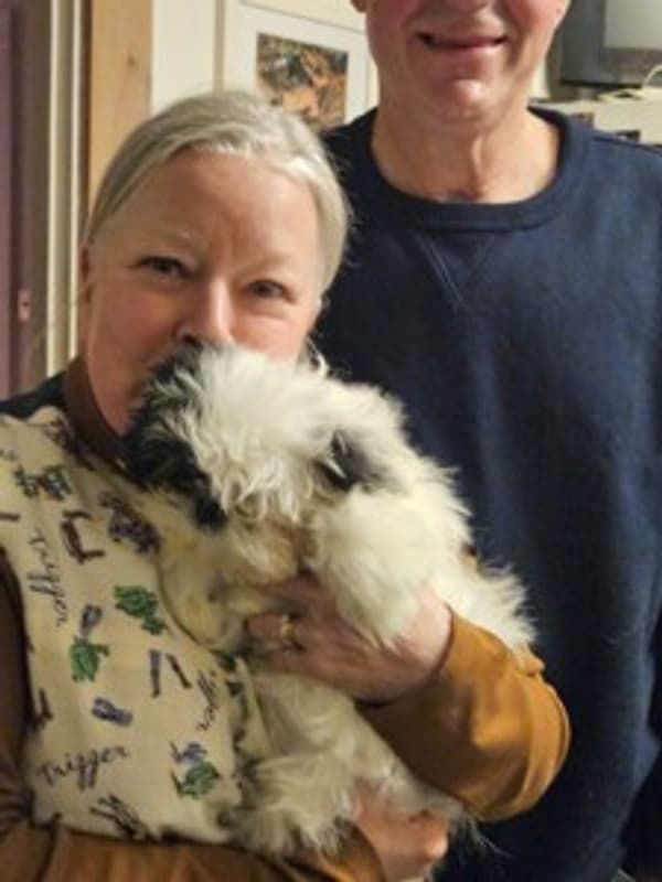 Customer photo of Dachshund, Tweenie puppy from Sussanne S.