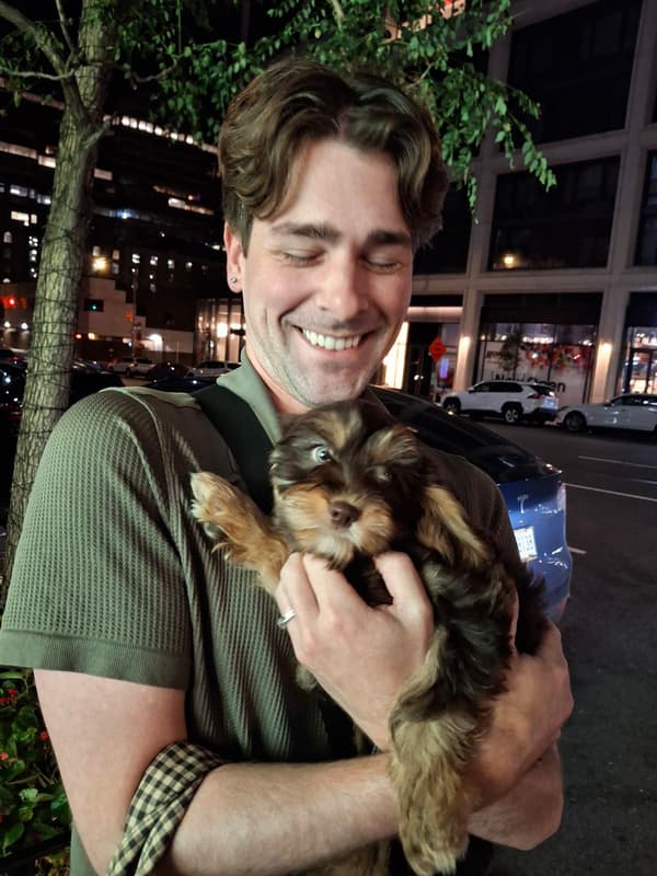 George the Cavapoo in New York