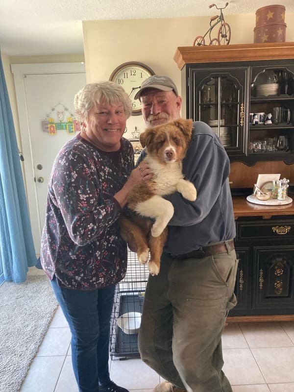 Customer photo of Australian Shepherd puppy from Nancy H.