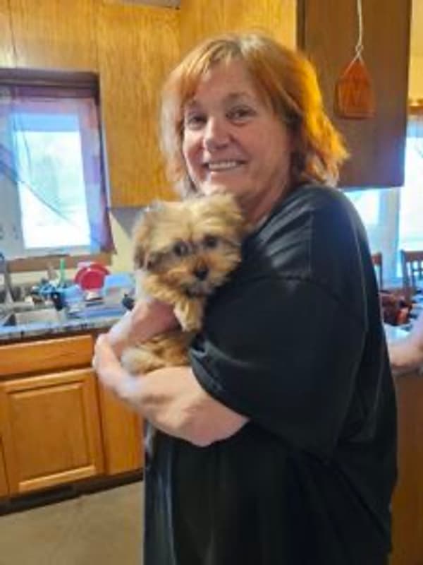 Customer photo of Shih-Poo - Shihpoo puppy from Brenda O.