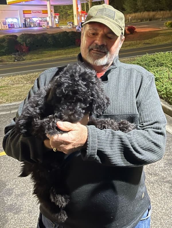 Customer photo of Poodle, Standard puppy from Kerry V.