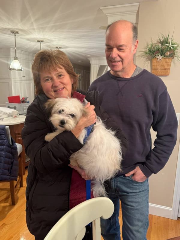 Customer photo of Shichon puppy from Donna F.