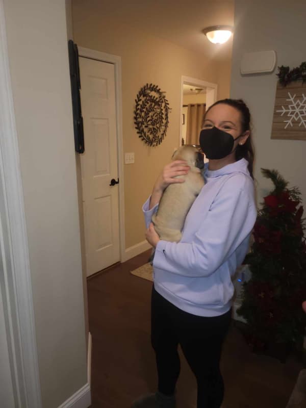 Customer photo of Pug puppy from Jamie C.
