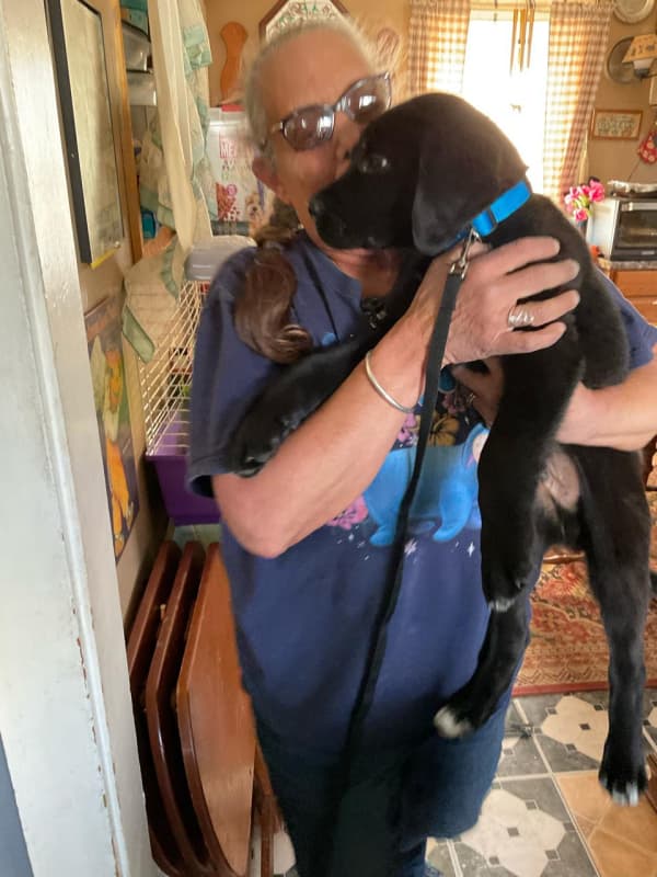 Customer photo of Mixed/Other puppy from Brenda B. 