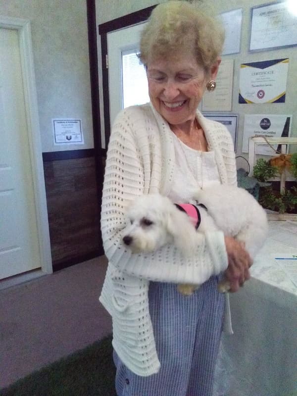 Customer photo of Bichon Frise puppy from Marion O.