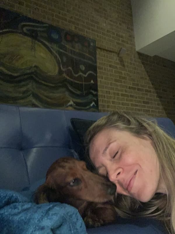 Customer photo of Dachshund, Mini puppy from Mary K.