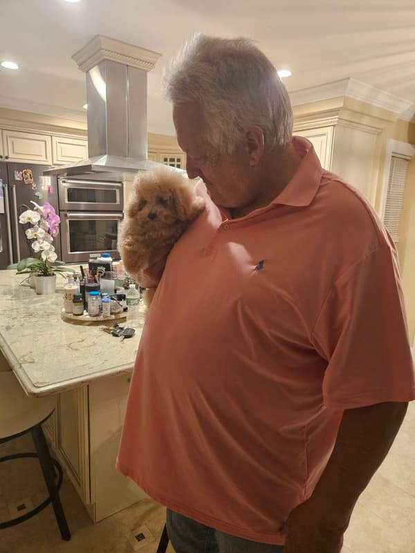 Customer photo of Malti Poo - Maltipoo puppy from Robert N.