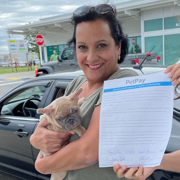 Customer photo of French Bulldog puppy from Fran B.