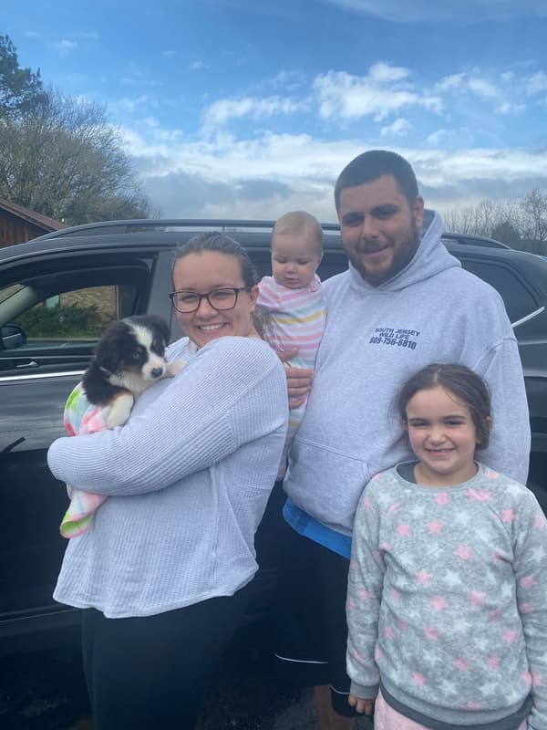 Customer photo of Australian Shepherd puppy from Ally M.