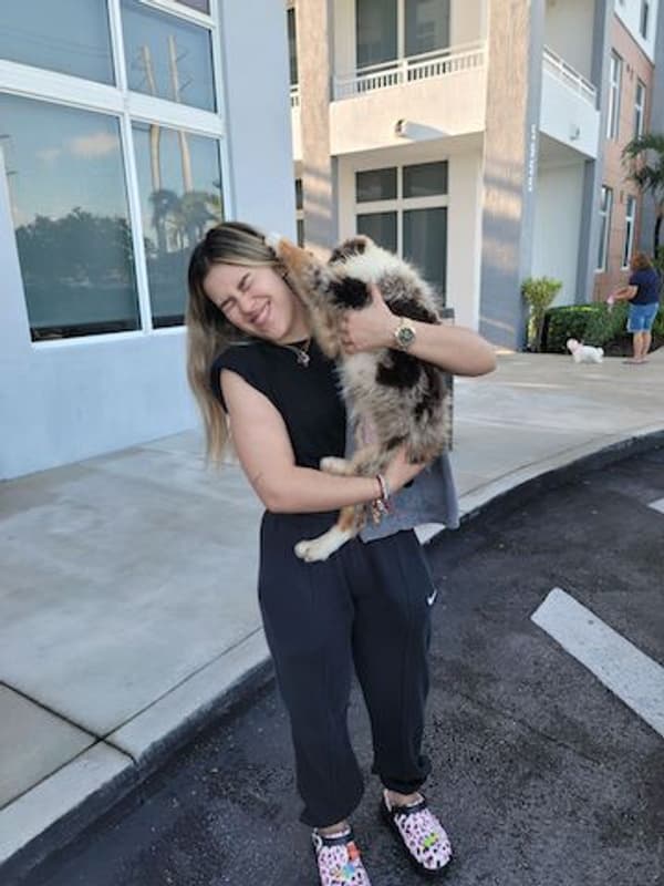 Customer photo of Australian Shepherd puppy from Laura L.