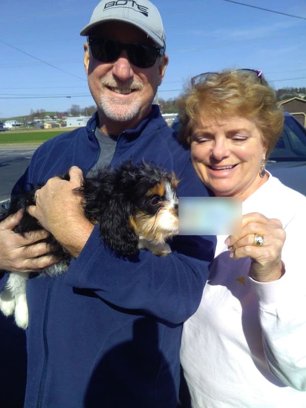 Customer photo of Cavachon puppy from Valerie R.