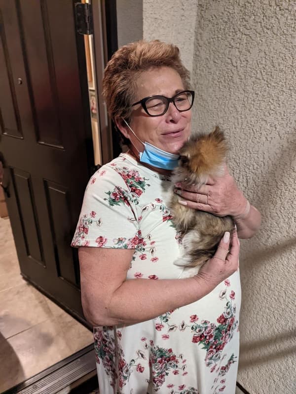 Customer photo of Pomeranian puppy from Angela M.