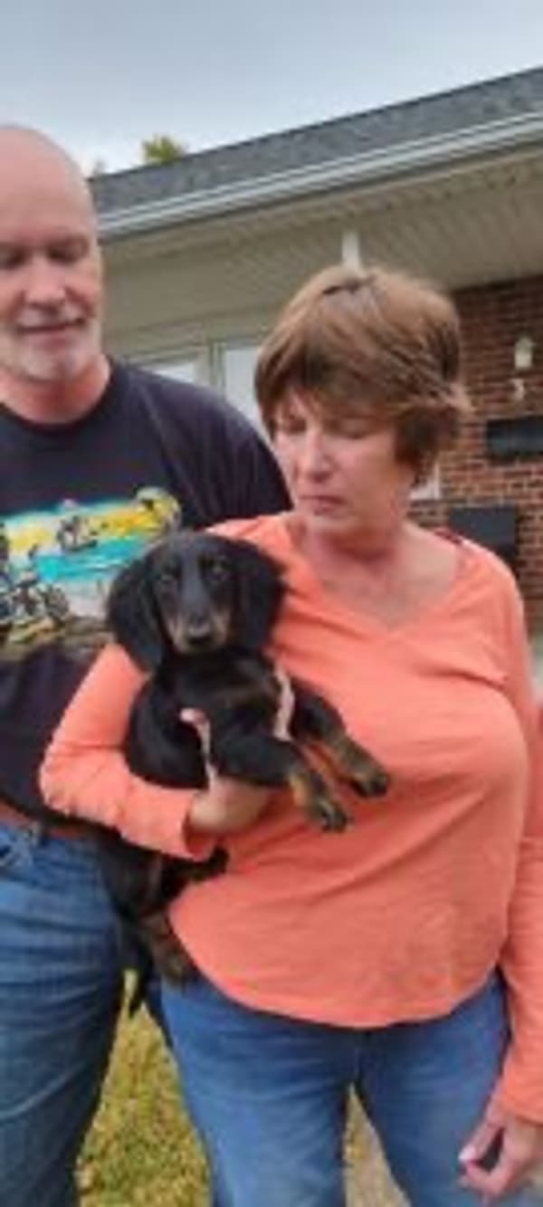 Customer photo of Dachshund, Mini puppy from Barb B.