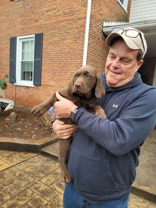Customer photo of Labrador Retriever puppy from Jeff C, 