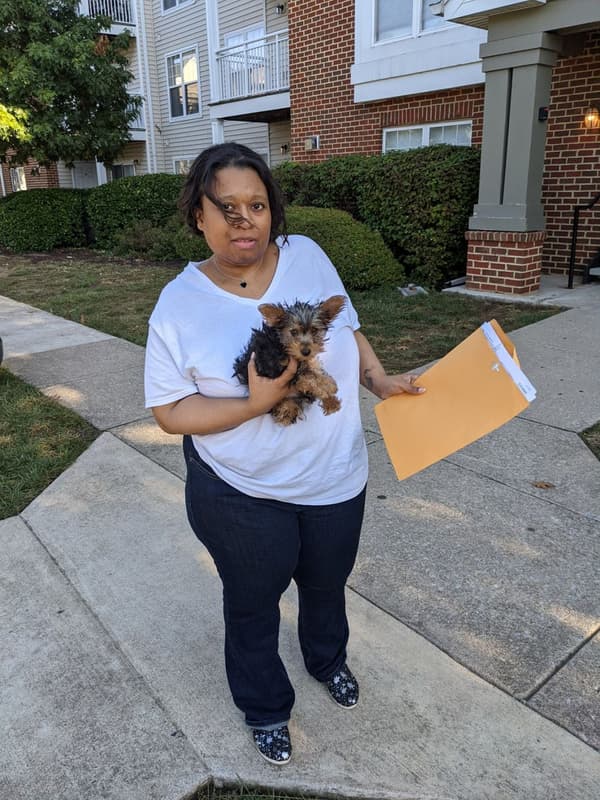 Customer photo of Silky Terrier puppy from Janna B.