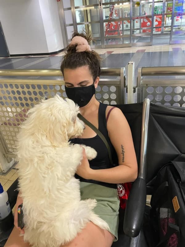 Customer photo of Labradoodle puppy from Monica B.