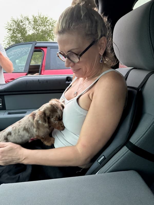 Customer photo of Dachshund, Tweenie puppy from Kelly K.