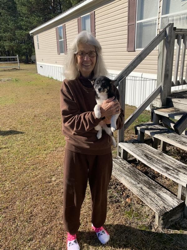 Customer photo of Shiba Inu puppy from Marshall B.