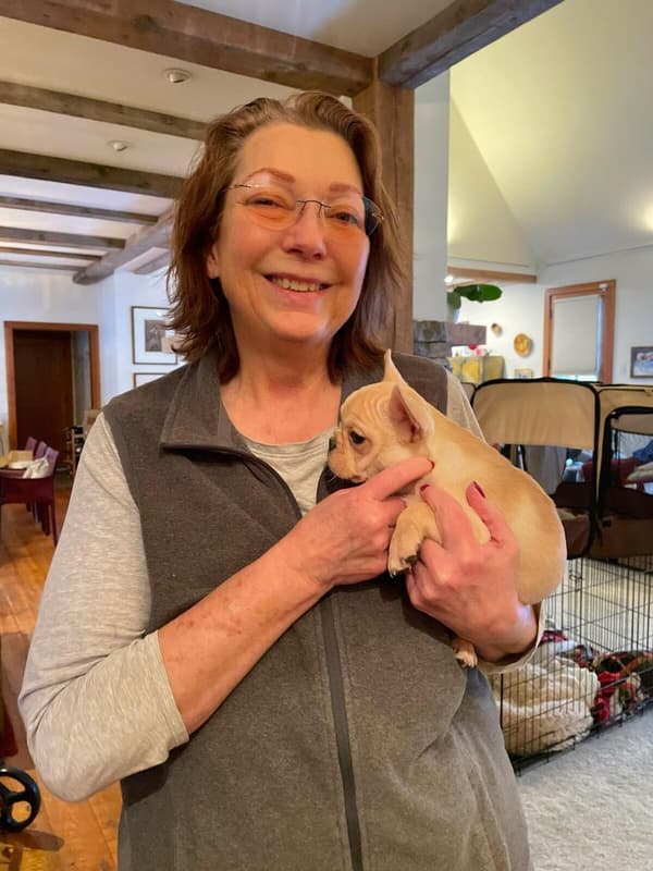 Customer photo of French Bulldog puppy from Linda C.
