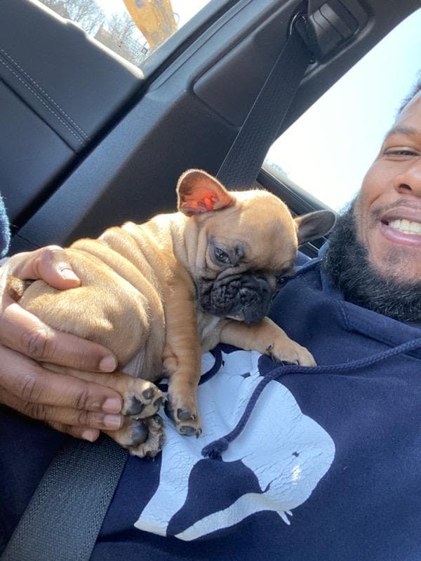 Customer photo of French Bulldog puppy from Stew C.