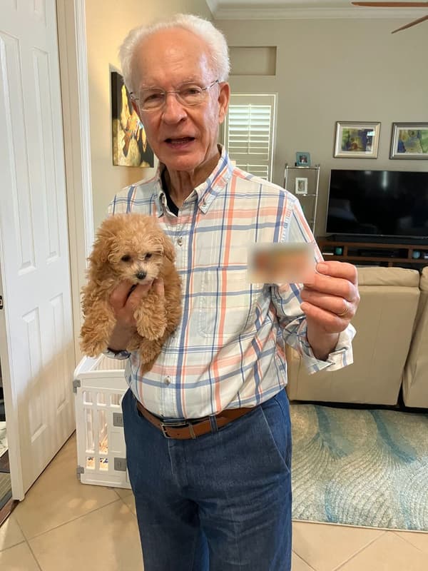 Customer photo of Bich-Poo - Bichpoo puppy from Robert F.