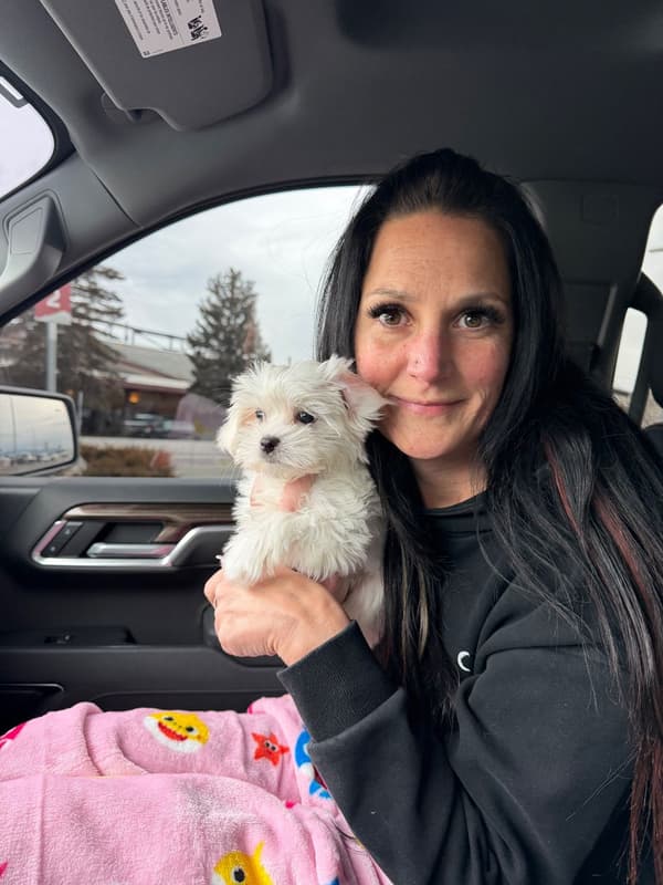 Customer photo of Malti Poo - Maltipoo puppy from Anna G.