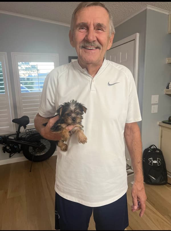Customer photo of Yorkshire Terrier - Yorkie puppy from Chuck P.