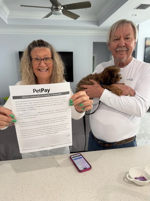 Customer photo of Cockapoo puppy from Pamela B.