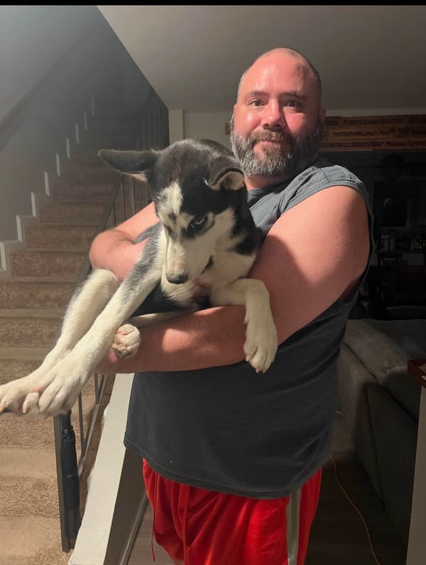 Customer photo of Siberian Husky puppy from Stephen T.