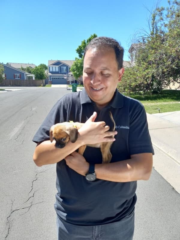 Customer photo of Puggle puppy from Marco S.