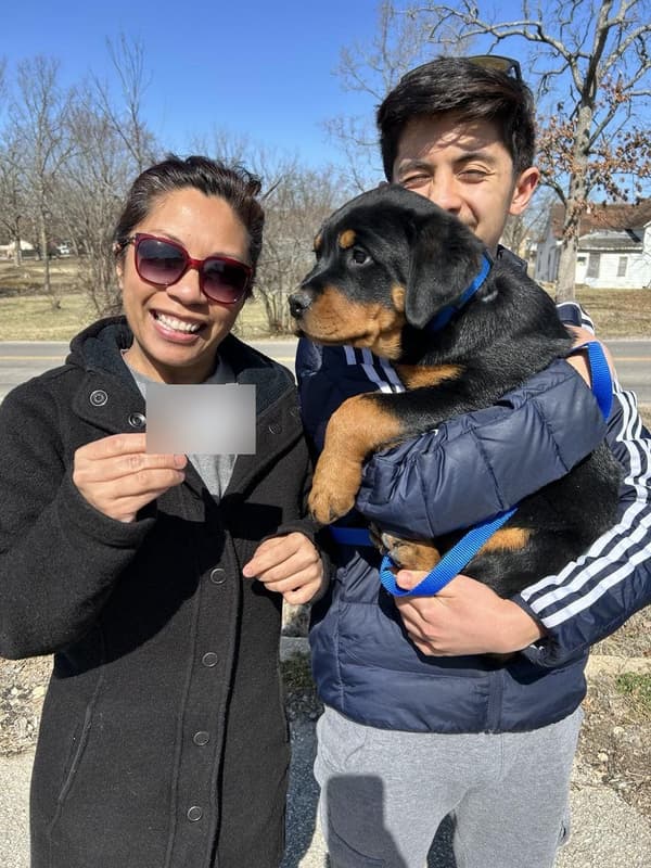 Customer photo of Rottweiler puppy from Eloiza D.