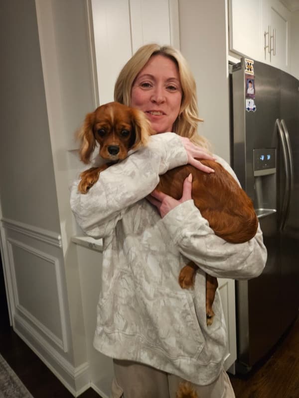 Customer photo of Cavalier King Charles Spaniel puppy from Jessica S.