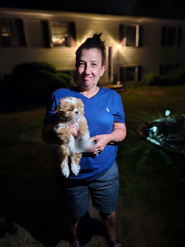 Customer photo of Shih Tzu puppy from Teresa P.