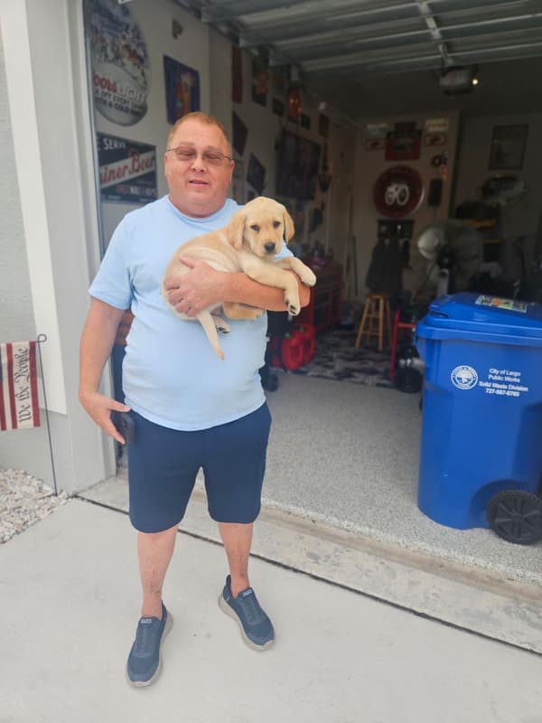 Customer photo of Labrador Retriever puppy from Thomas W.