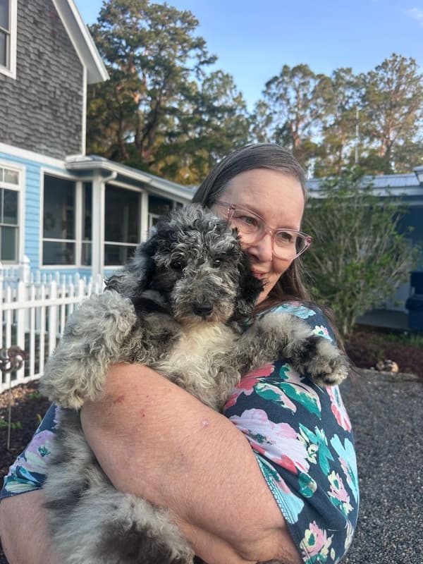 Customer photo of Poodle, Standard puppy from Rebecca W.