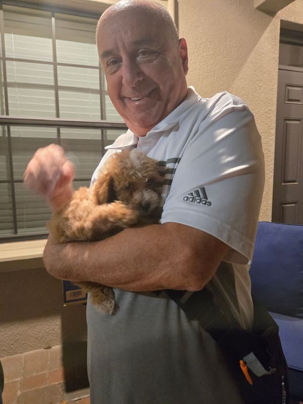 Customer photo of Malti Poo - Maltipoo puppy from Valentino S.