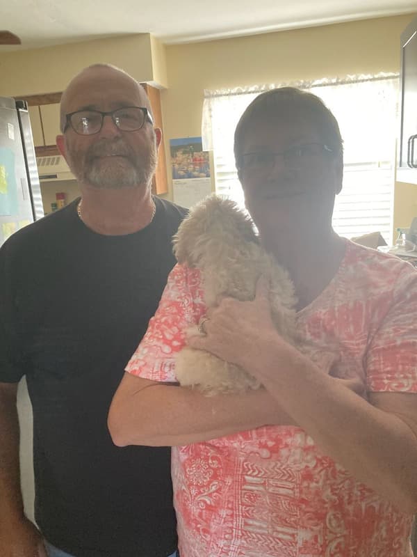 Customer photo of Cockapoo puppy from Patricia R.