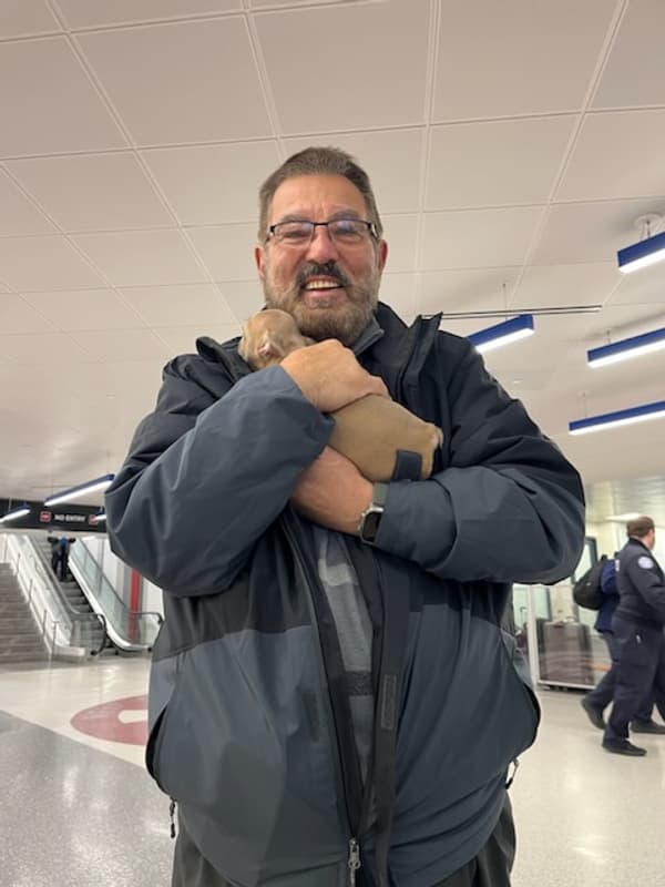 Customer photo of French Bulldog puppy from Jim M.