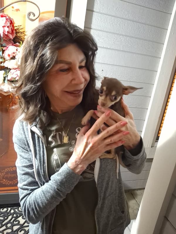 Customer photo of Chihuahua puppy from Marsi A.