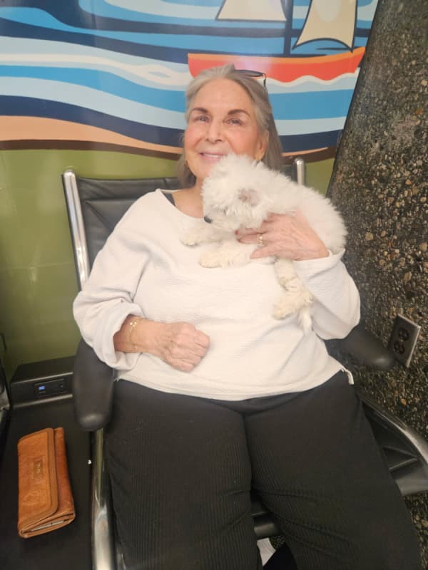 Customer photo of Bichon Frise puppy from Toni L.