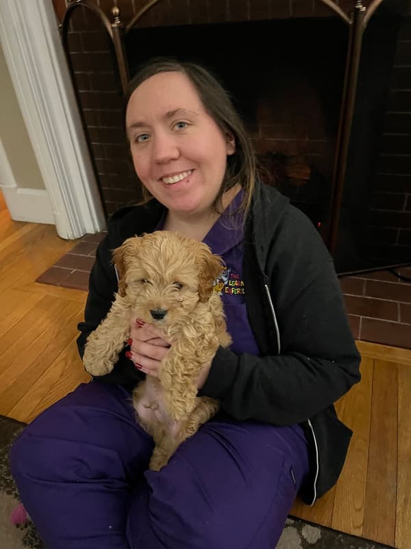 Customer photo of Cavapoo puppy from Laurel B.