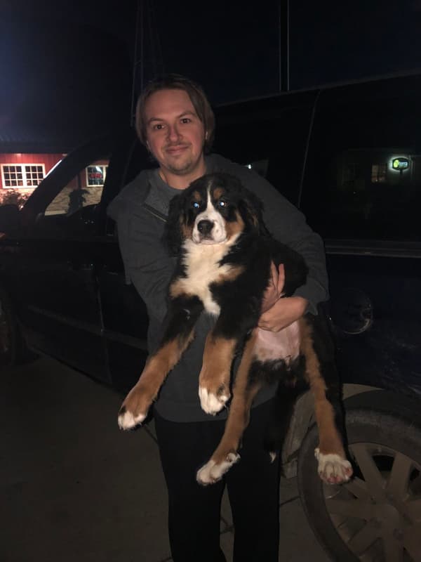 Customer photo of Bernese Mountain Dog puppy from Danielle B.