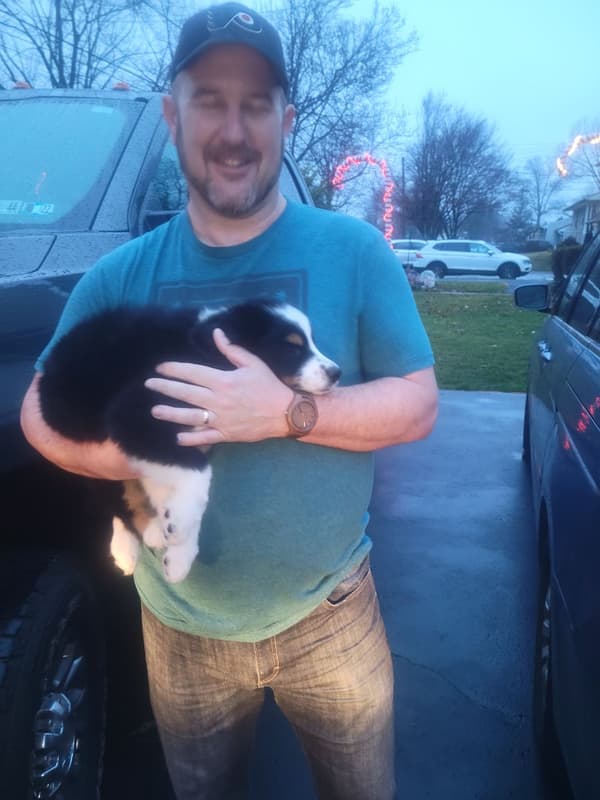 Customer photo of Beagle puppy from Donald S.