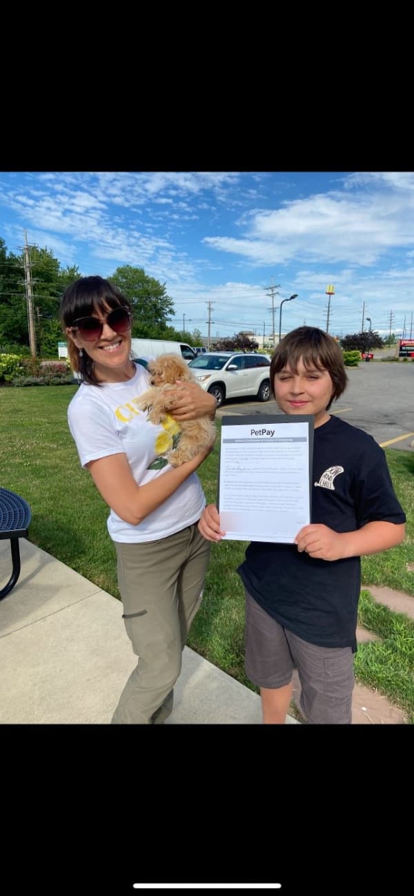 Customer photo of Malti Poo - Maltipoo puppy from Yuliya C.