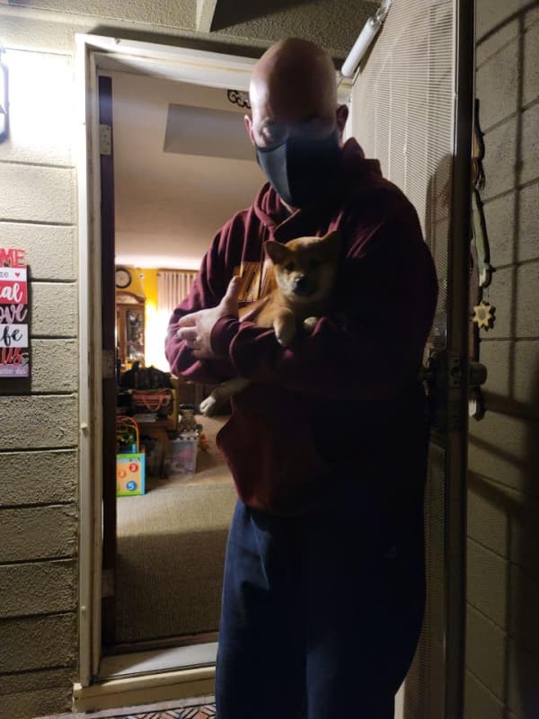 Customer photo of Shiba Inu puppy from Janet R.