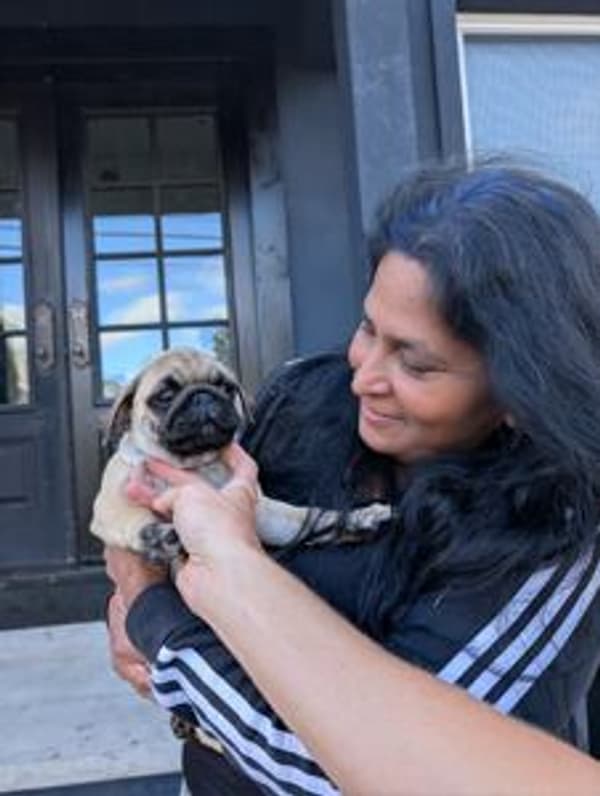 Customer photo of Pug puppy from Ruth S.