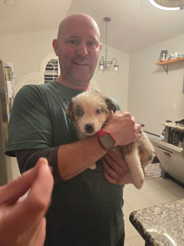 Customer photo of Australian Shepherd puppy from Jordan W.