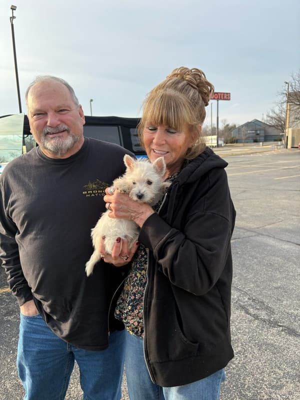 Customer photo of West Highland White Terrier - Westie puppy from Richard W.